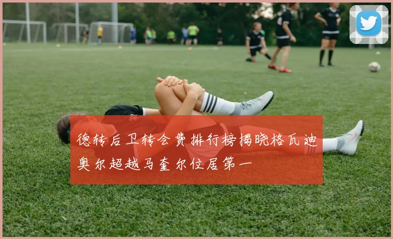 德转后卫转会费排行榜揭晓格瓦迪奥尔超越马奎尔位居第一