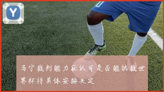 马宁裁判能力获认可是否能执裁世界杯待具体安排决定