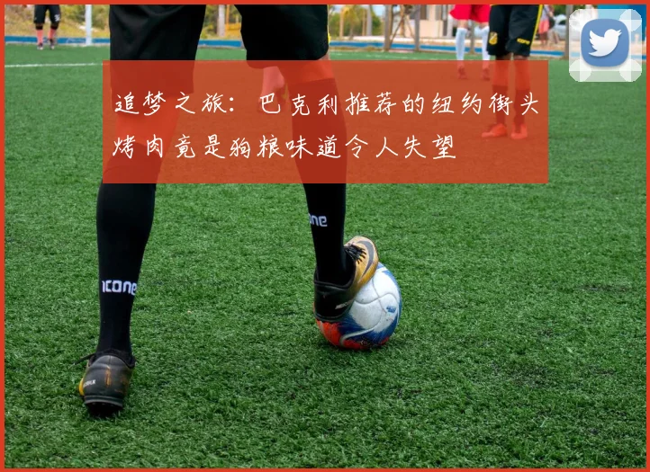 追梦之旅：巴克利推荐的纽约街头烤肉竟是狗粮味道令人失望