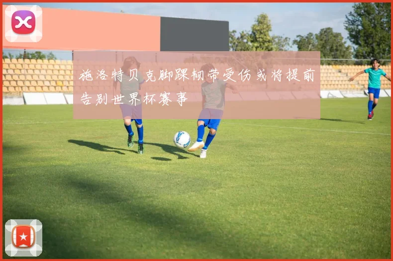 施洛特贝克脚踝韧带受伤或将提前告别世界杯赛事