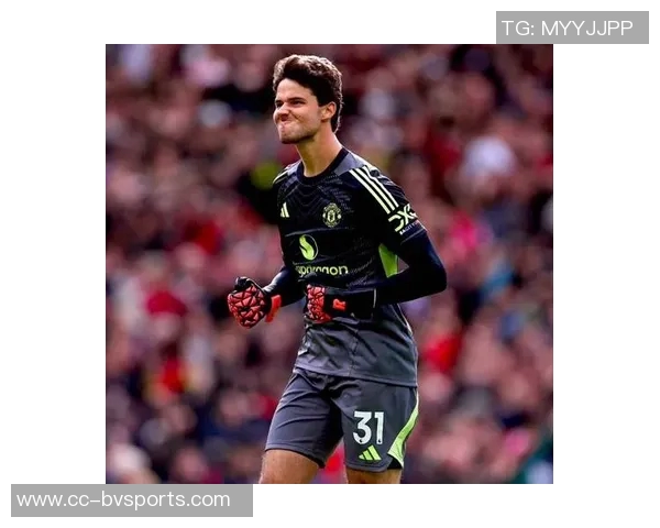 舒梅切尔赞拉门斯年轻却成熟表现出色攻防转换果断带来安全感